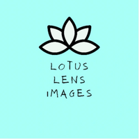 Lotus Lens Images