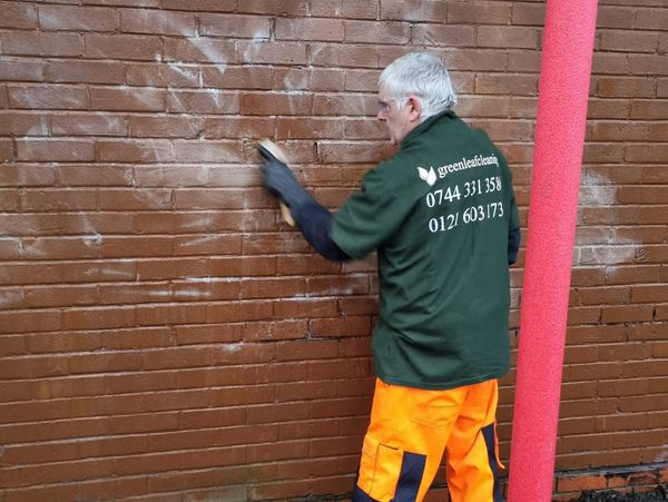 Green Leaf Cleaning