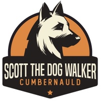 Scott the Dog Walker Cumbernauld