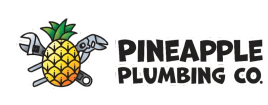 Pineapple Plumbing co.