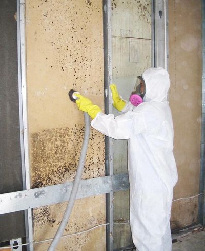 Man in a paint suit cleaning mold off a wall