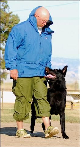 German Shepherd Obedience - correct heel position - Angus av Stavanger Curly 