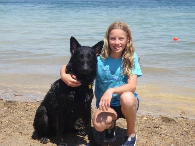 Ava av Stavanger earns her CGC - AKC Canine good citizen - basic obedience title