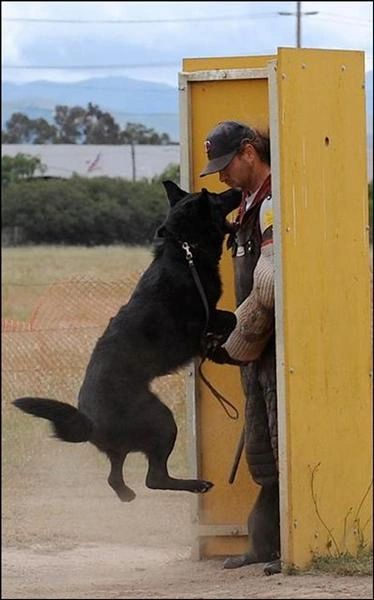 Guarding in the blind 