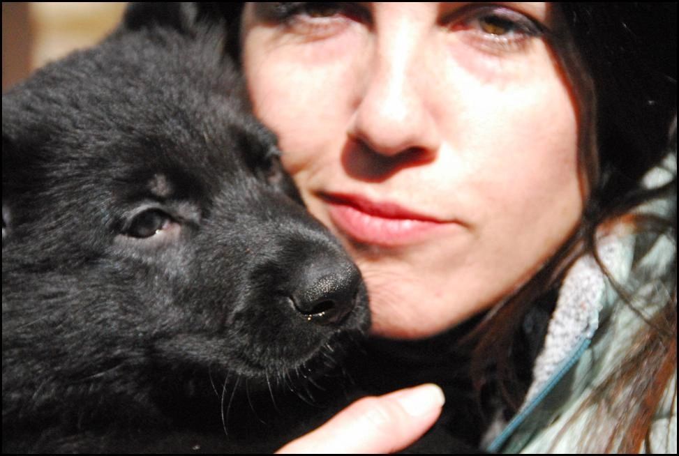 German Shepherd Puppy Love