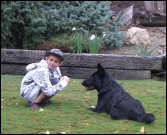 Child playing with a German Shepherd Dog - germanshepherdk9.com