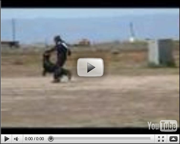 Send Out - Schutzhund Vorous obedience excercise video link - A slam dunk by Gjeter av Xazziam