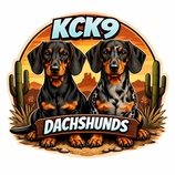 KCK9 Dachshunds