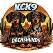 KCK9 Dachshunds