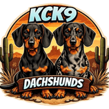 KCK9 Dachshunds