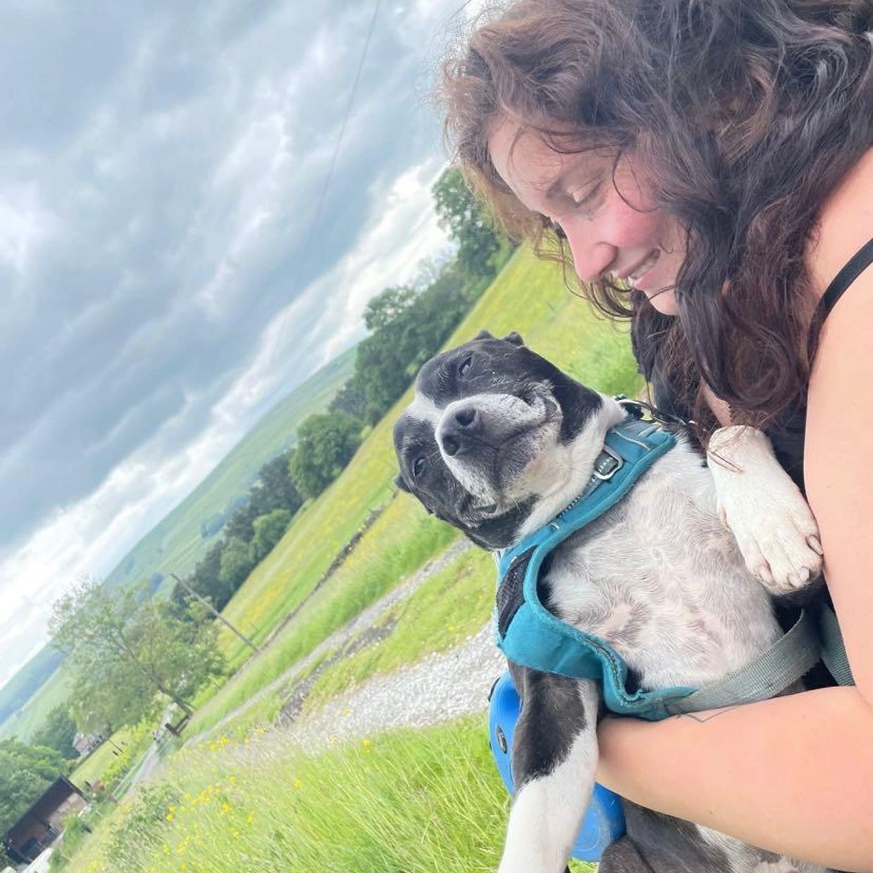 Dog walker cuddling a dog