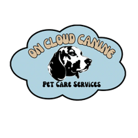 On cloud canine