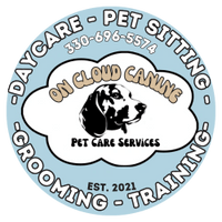 On cloud canine
