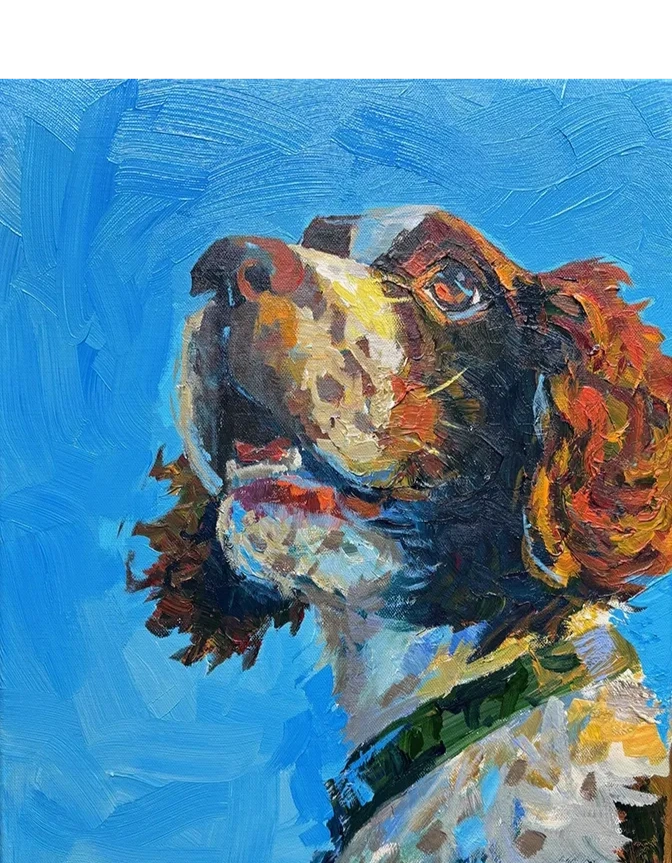 Boykin Boy Pet portrait