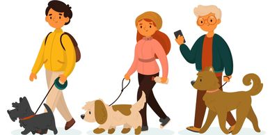Social Walk Spaziergänge mit Hunden