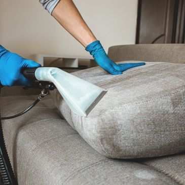 A professional cleaning a couch
