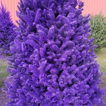 Purple plum Christmas tree and decorations from Next ~ Fresh