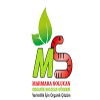MS Marmara Solucan
