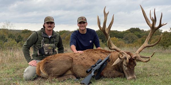 Texas Red Stag Hunts