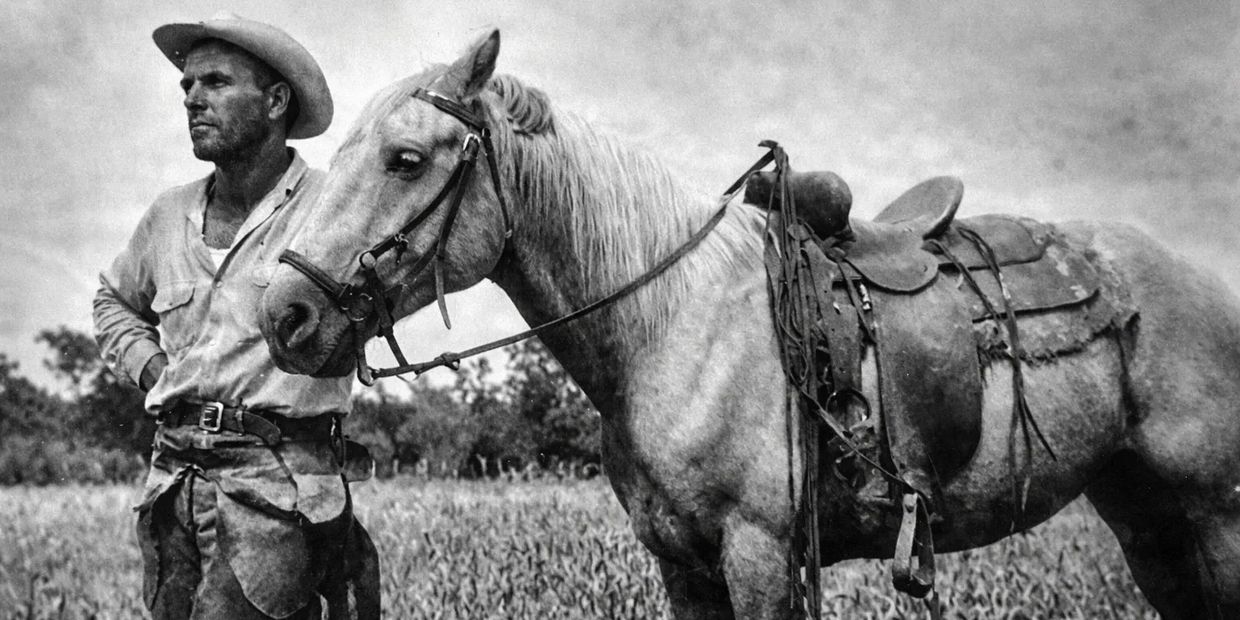 A cowboy stands beside a saddled horse in a field, gazing into the distance.