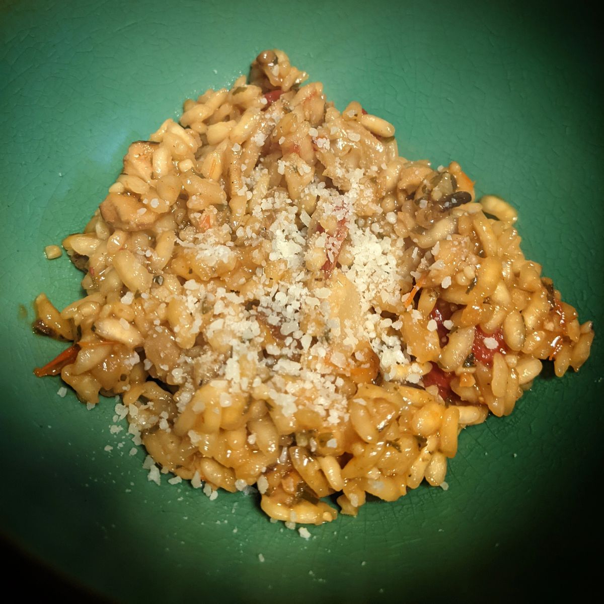 Sun Dried Tomato and Wild Mushroom Risotto