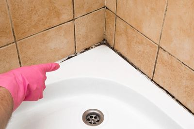 Mold testing in Savannah Georgia 