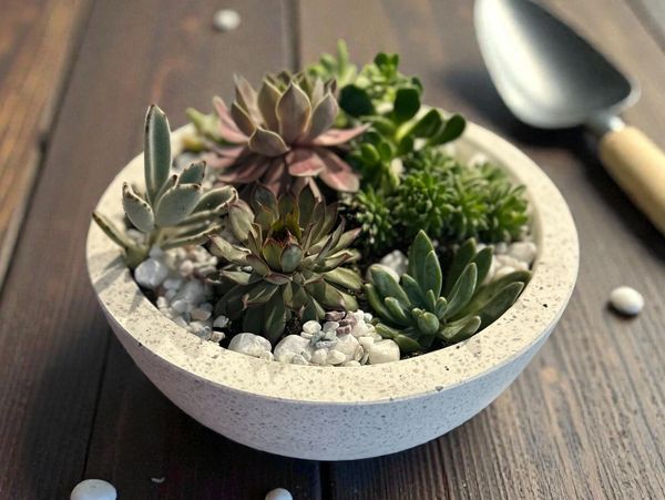 A white bowl filled with various succulents on a wooden table with a gardening trowel.