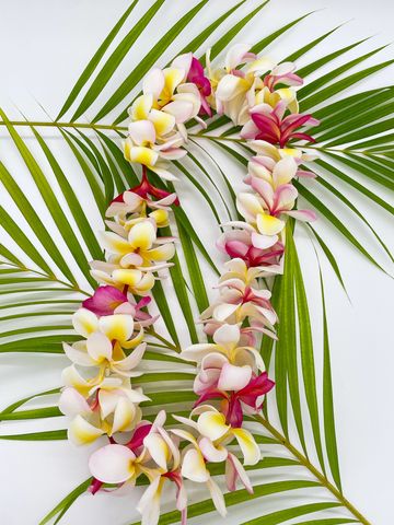 mix color single plumeria flower lei