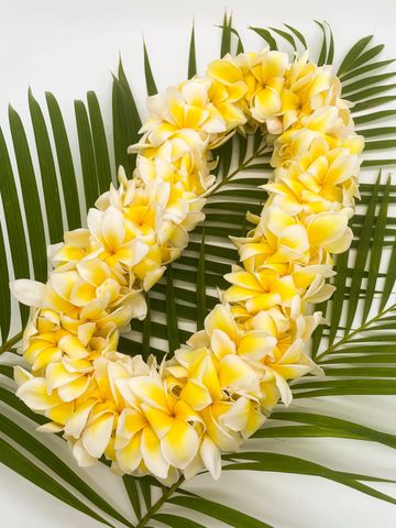 white double plumeria lei