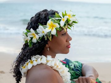 Plumeria flower flower crown