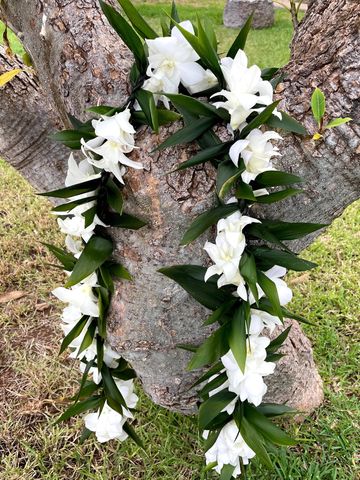 maile style ti leaf lei with white orchid flowers