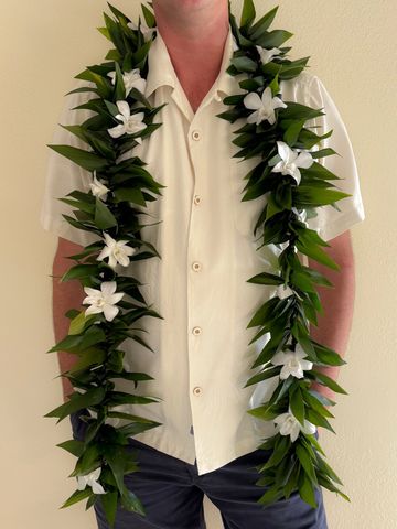 Maile style ti leaf lei and orchid accent