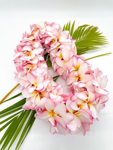 pink color double plumeria flower lei