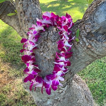 Purple single orchid lei