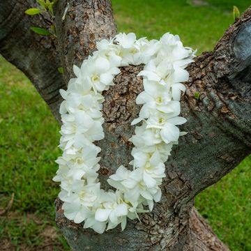 Double white orchid lei