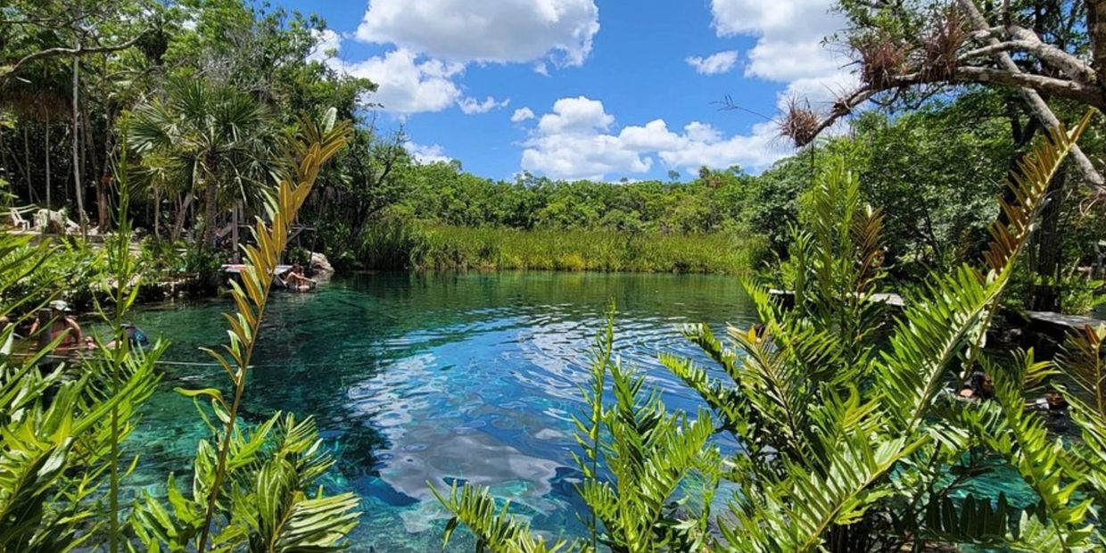 Clear blue natural pool surrounded by lush greenery under a bright sky.