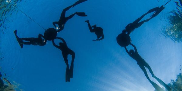 Silhouettes of divers underwater against a bright blue background.