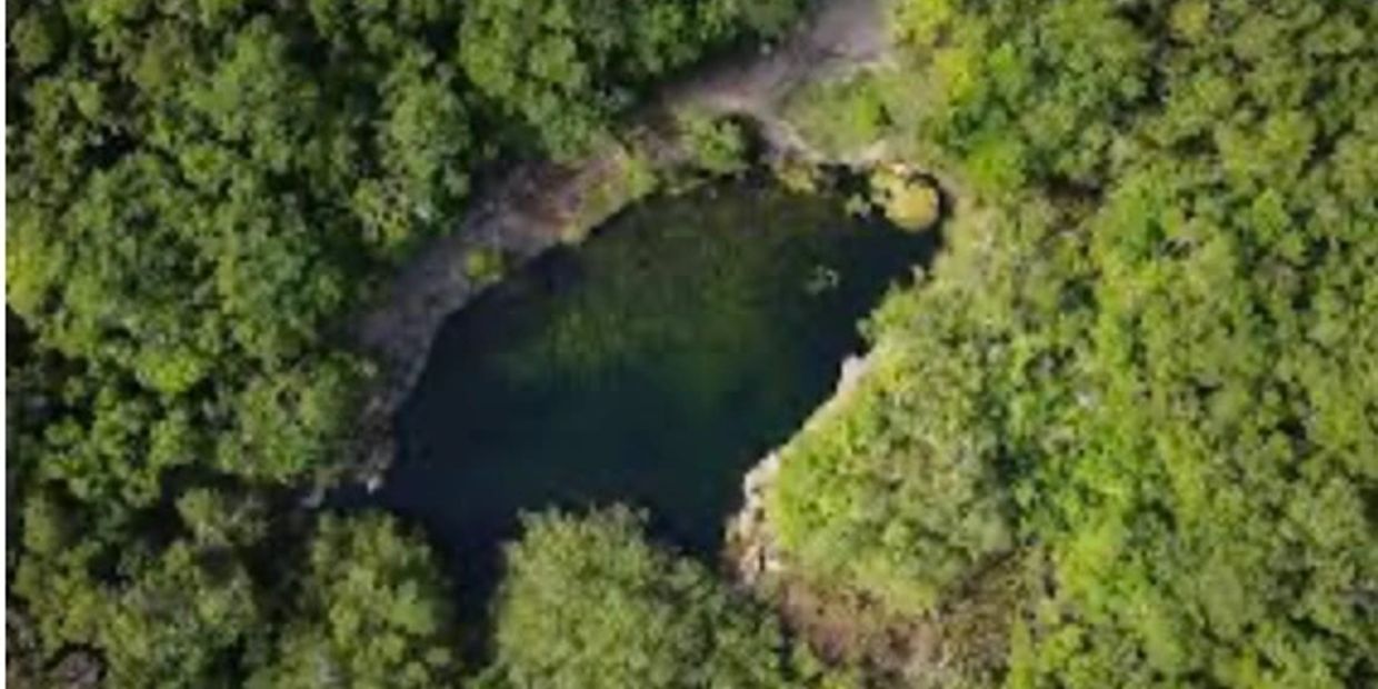 A small pond surrounded by dense green forest.