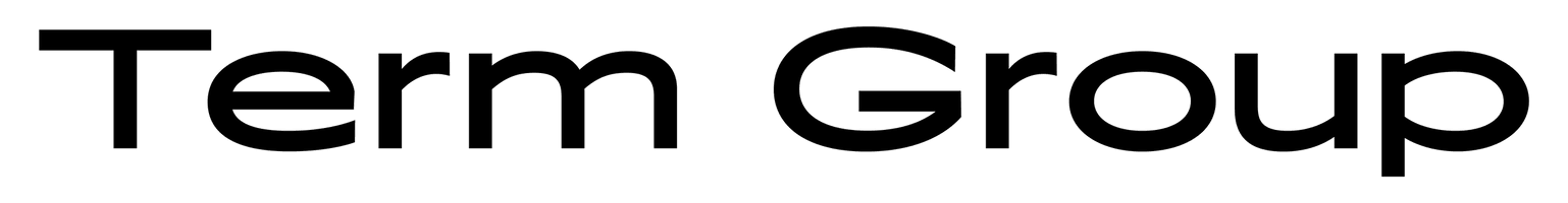 TERM GROUP