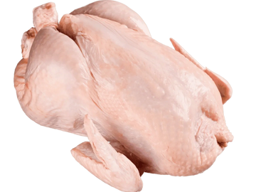 Raw whole chicken ready for cooking.