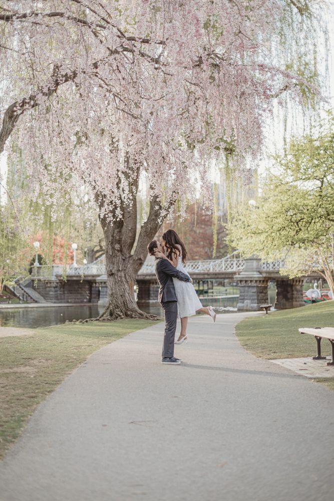 A freshly engaged couple in the Boston Public Garden kissing each other surrounded by spring blooms.
