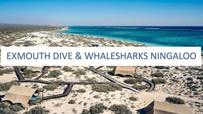 Exmouth and whaleshark diving with Kansas City and the Midwest's Australia expert, Travel planner