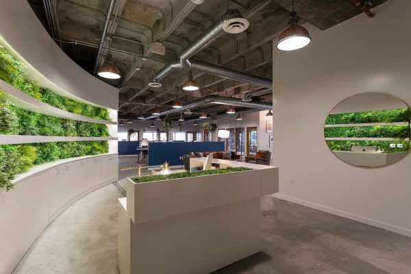 Modern office space with green wall and curved design.