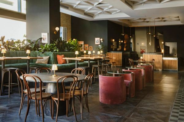 Stylish modern cafe interior with plants and warm lighting.