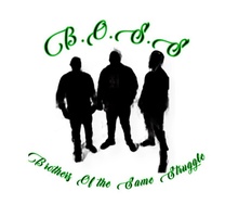 The Brothers Of the Same Struggle organization 