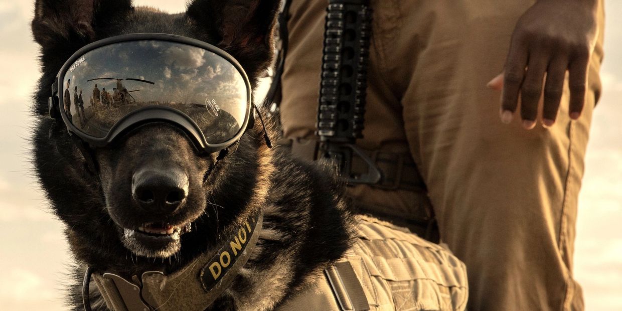 Military dog wearing tactical goggles beside soldier with rifle.