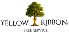 Yellow Ribbon Tree Service