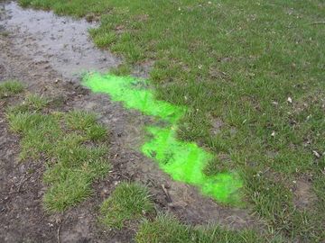 septic dye testing Binghamton Vestal Owego Apalachin endicott chenango bridge broome county