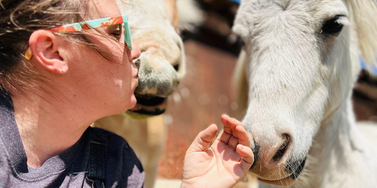 A woman affectionately interacting with two white horses up close.