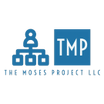 IT Project Management Support and Expertise